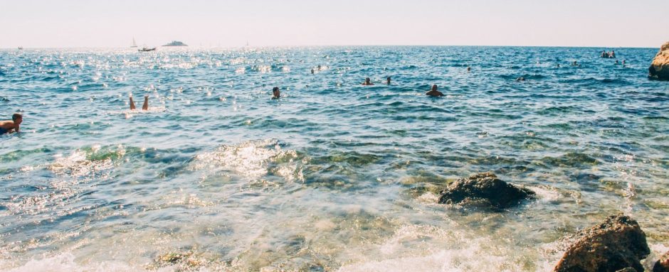 Swimming with Sharks