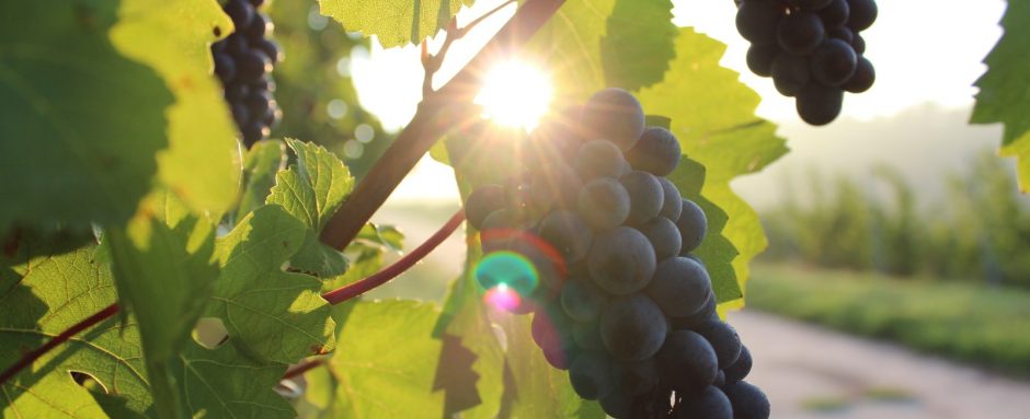 7 tips to a healthier life